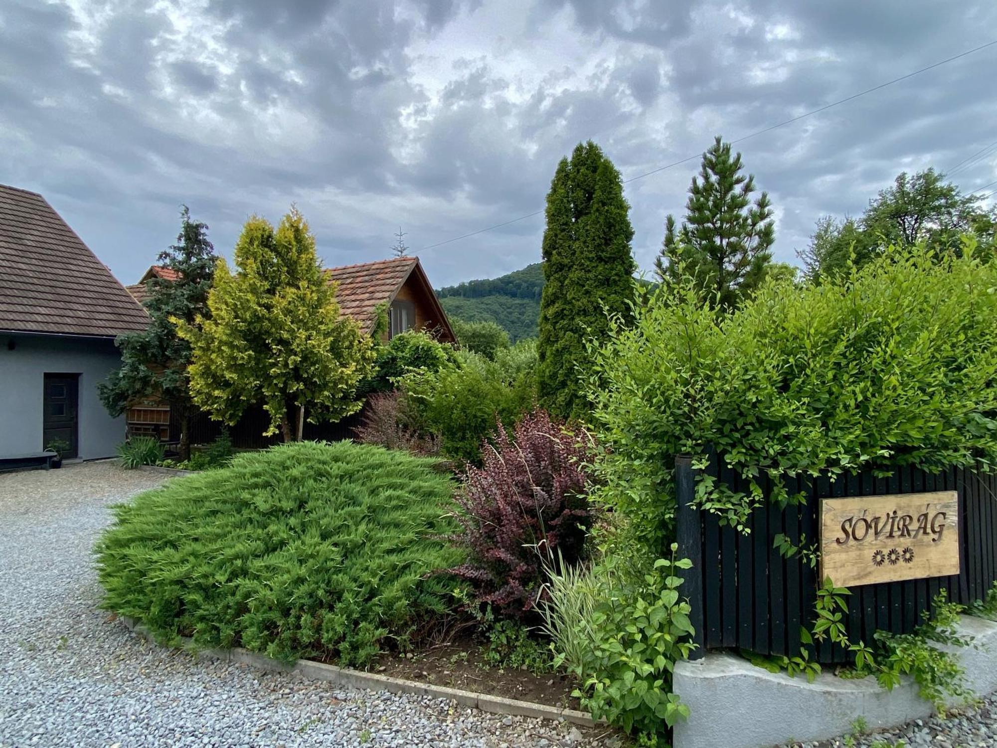 Pensiunea Sovirag Praid Exterior foto